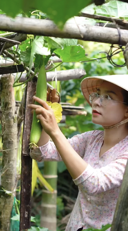 Bo thanh pho voi muc luong kha, co gai Quang Nam ve que lam ruong-Hinh-8