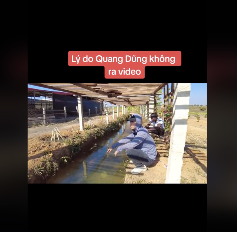 Quang Linh Vlogs tiet lo su that ve Quang Dung, fan tiec nuoi-Hinh-2