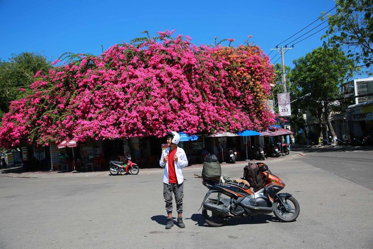 Ngoi nha hoa giay o Phan Thiet co gi khien netizen me man den vay?-Hinh-6