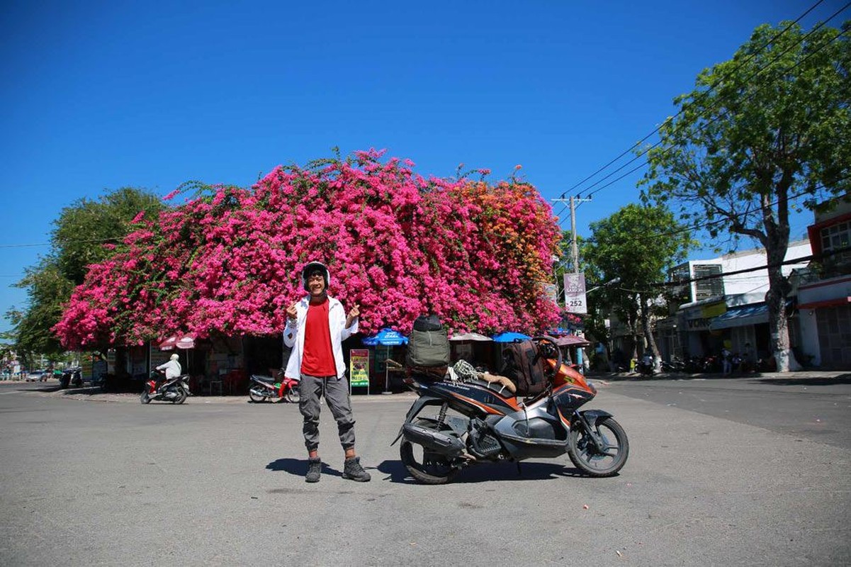 Ngoi nha hoa giay o Phan Thiet co gi khien netizen me man den vay?-Hinh-7