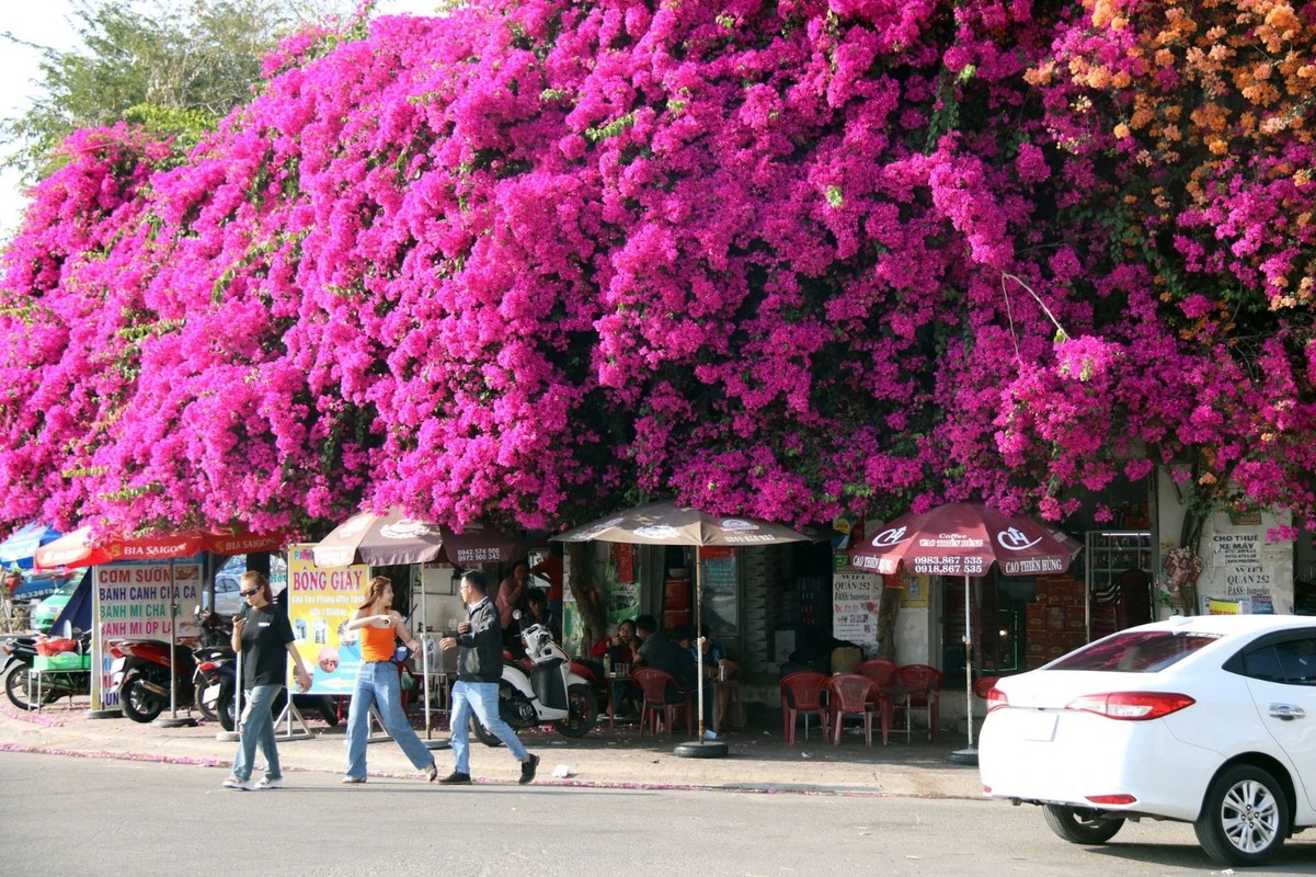 Ngoi nha hoa giay o Phan Thiet co gi khien netizen me man den vay?-Hinh-9