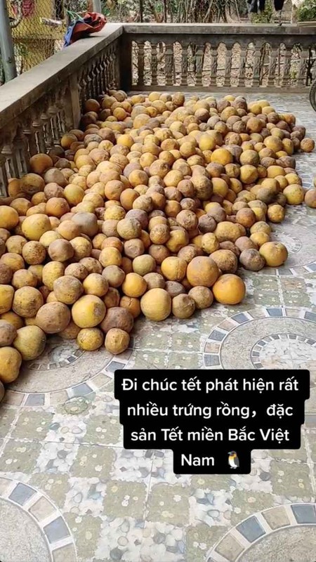 Hinh anh buoi chat day nha ngay Tet cua gia dinh mien Bac-Hinh-5