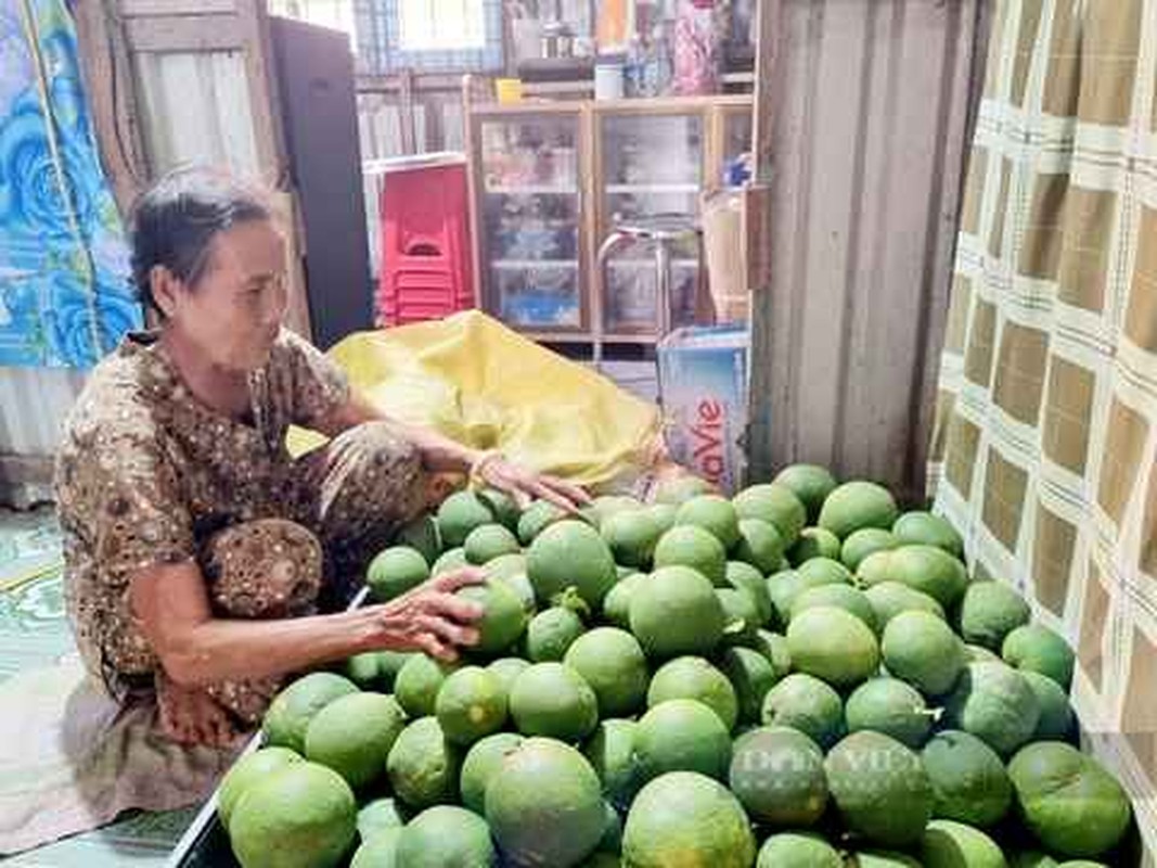 Hinh anh buoi chat day nha ngay Tet cua gia dinh mien Bac-Hinh-8