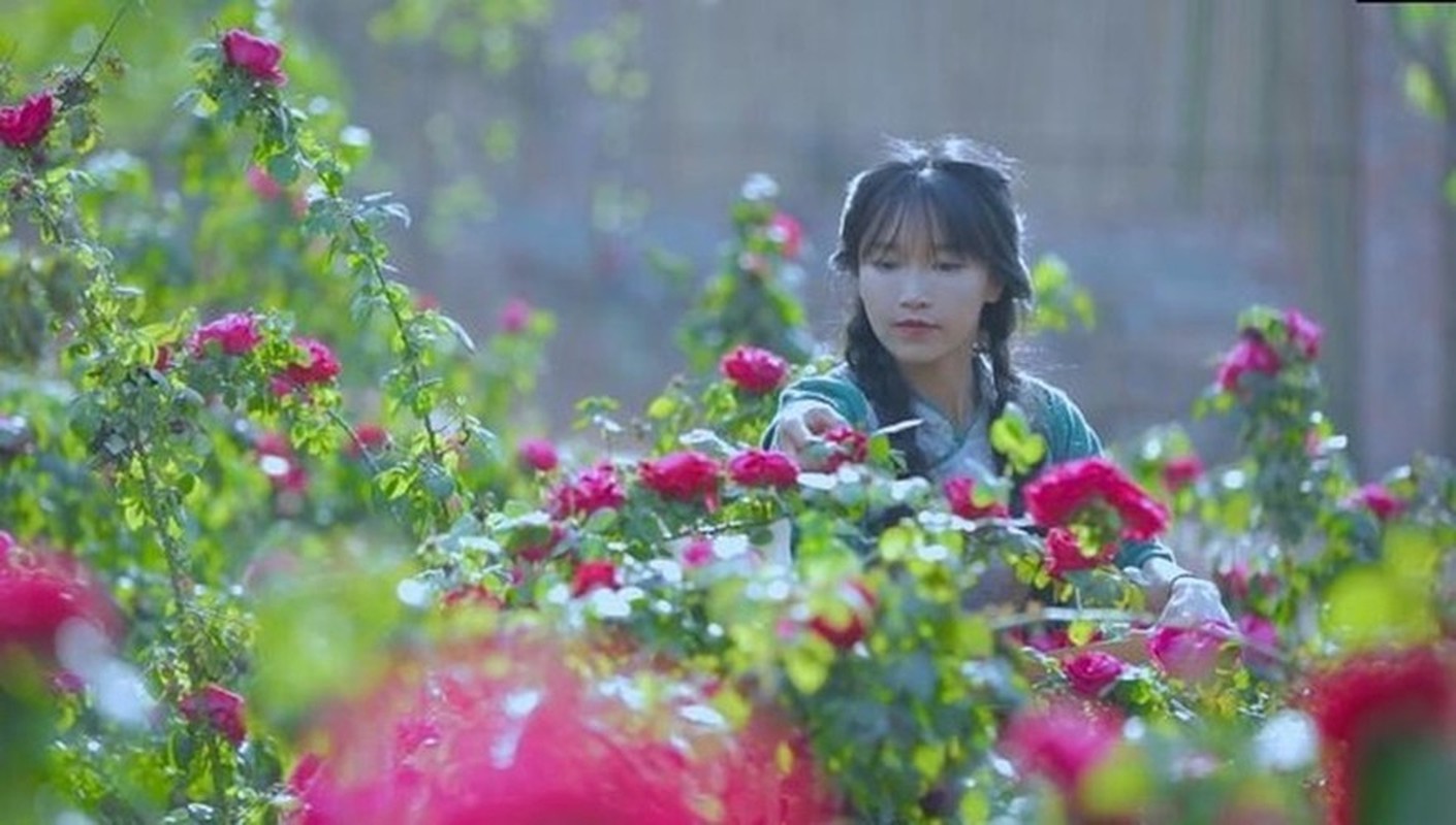 View - 	Tiên nữ đồng quê Lý Tử Thất hé lộ thời điểm comeback kênh Youtube