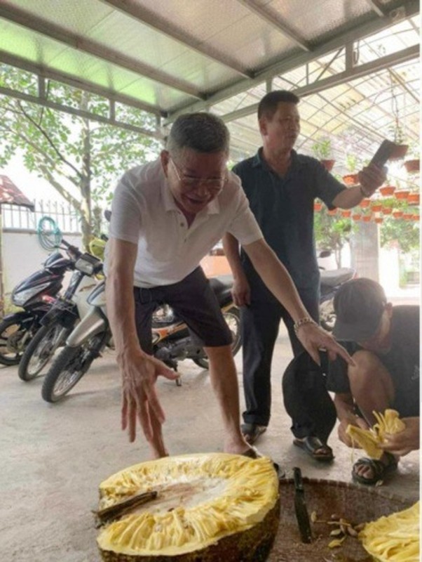 View - 	Netizen tò mò quả chủ nhà bổ quả mít khủng gần 55kg