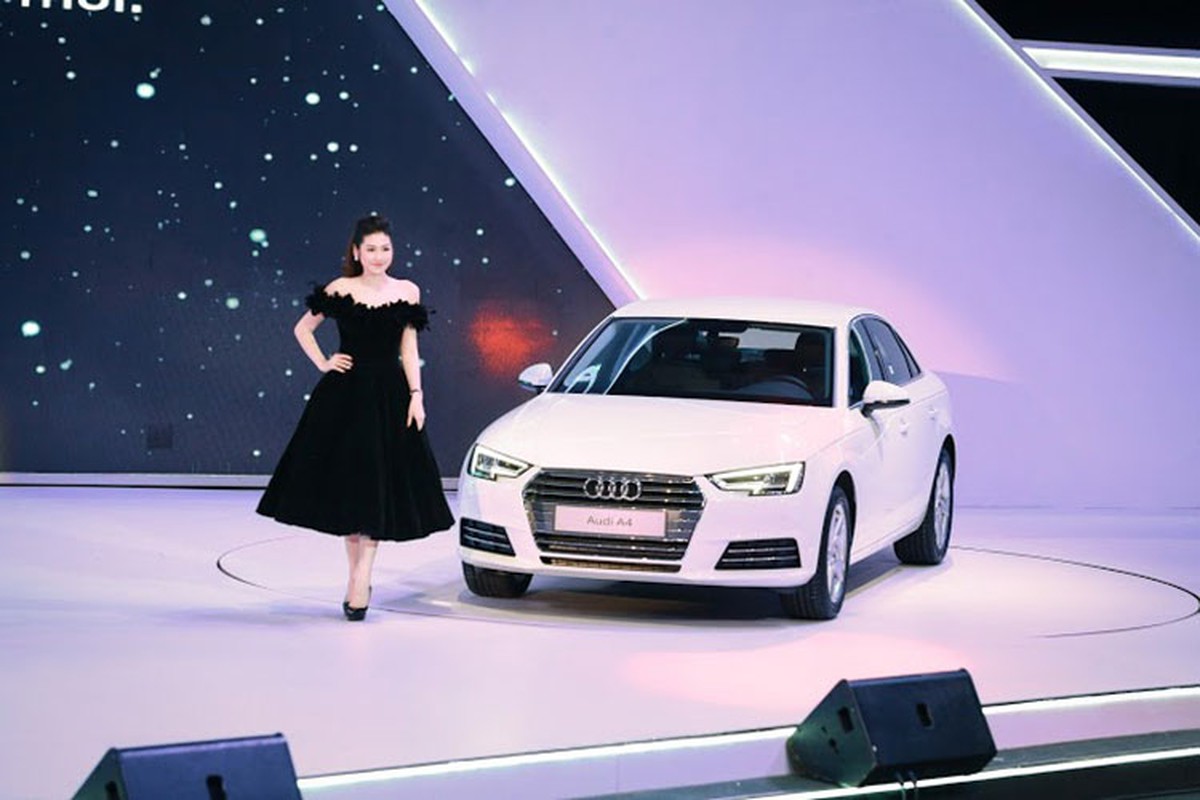 Dan sao Viet do bo Audi Progressive 2016 tai Ha Noi-Hinh-6