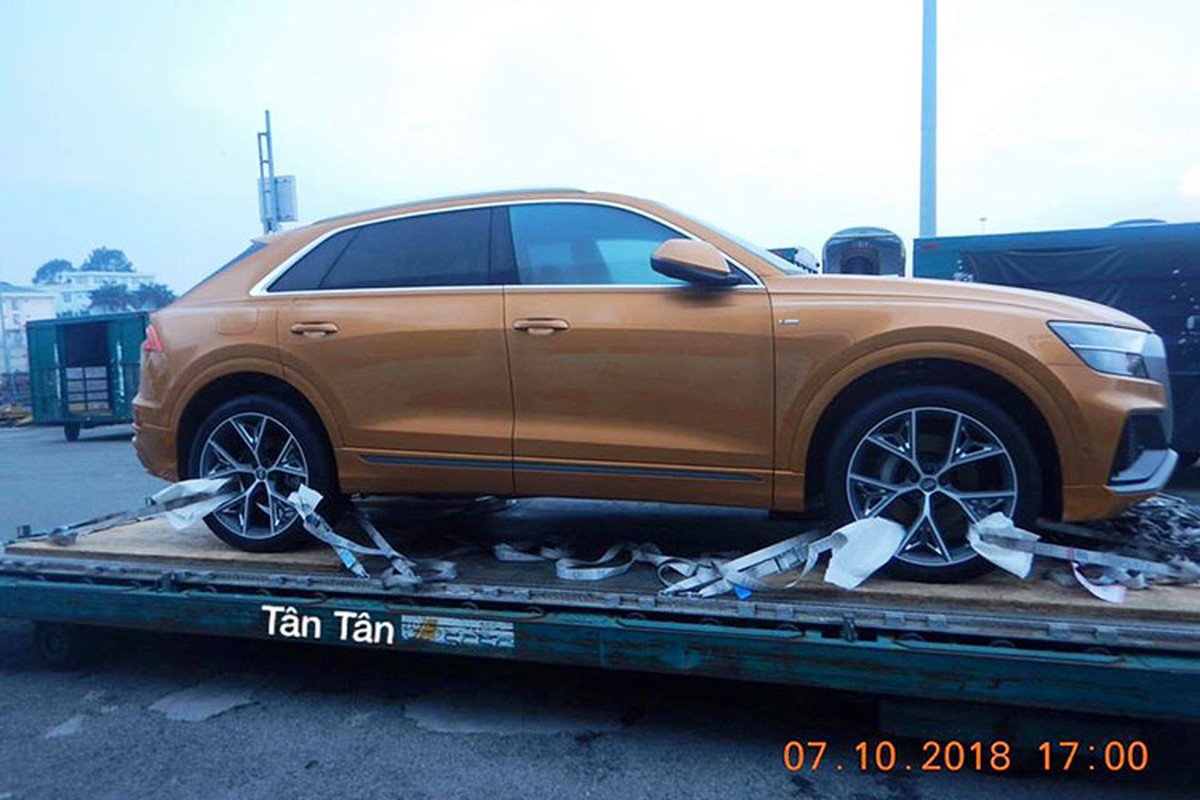 SUV hang sang Audi Q8 2019 