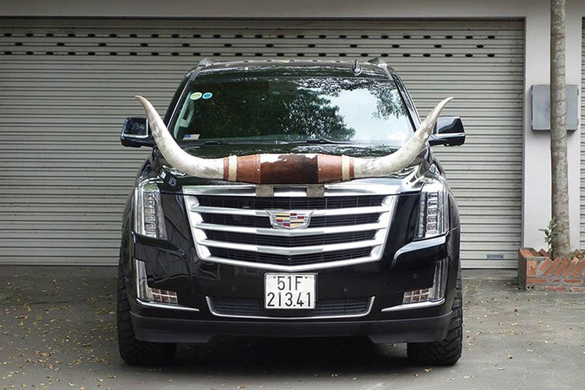 Dai gia Vong xep Duy Loi “cam sung” cho Cadillac tien ty-Hinh-2