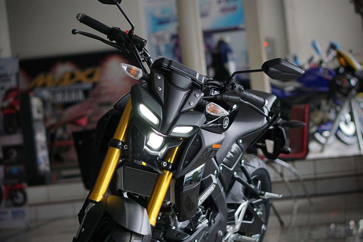 Xe moto Yamaha MT-15 chot gia 46 trieu dong tai An Do-Hinh-3