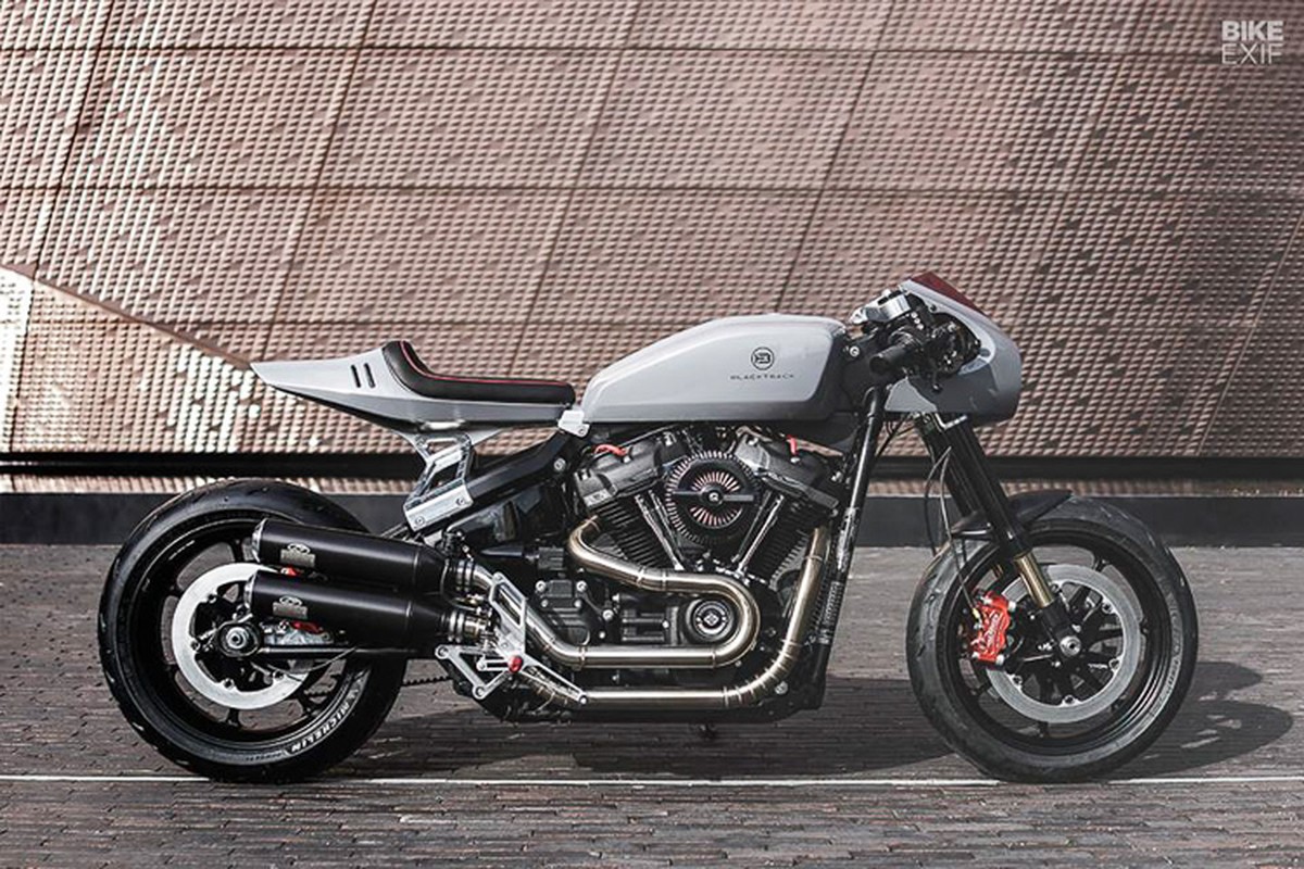 Harley-Davidson Fat Bob 114 do Cafe Racer sieu an tuong-Hinh-8