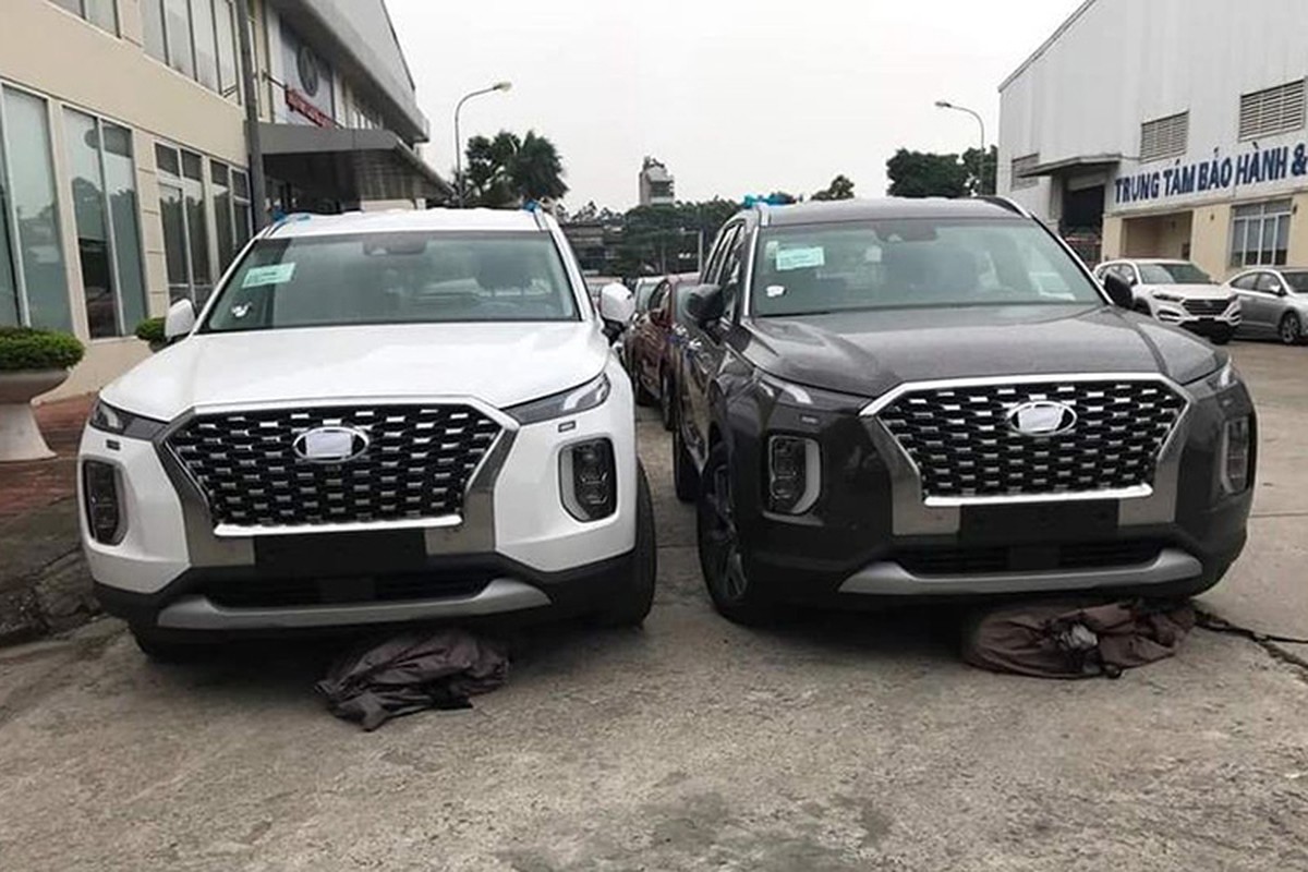 Ca dan xe Hyundai Palisade 2020 un un ve Viet Nam-Hinh-2