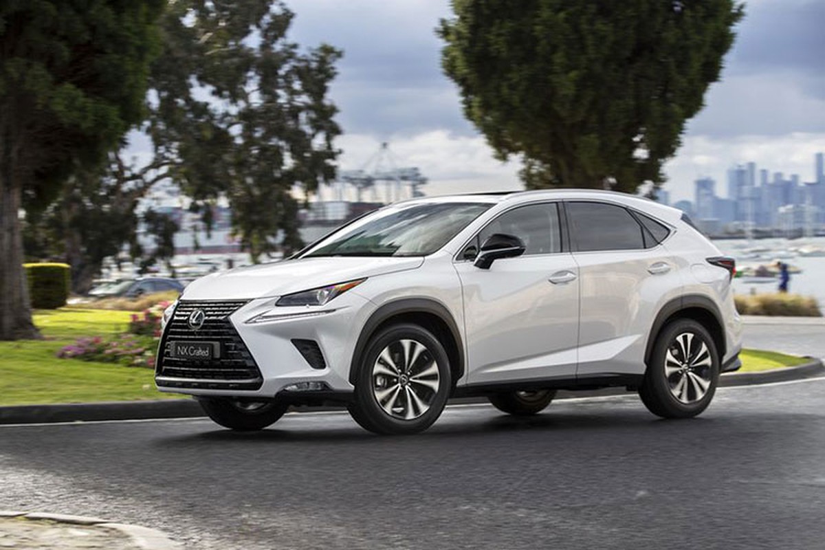 Xe sang Lexus NX va RX ban dac biet moi tu 1 ty dong-Hinh-2