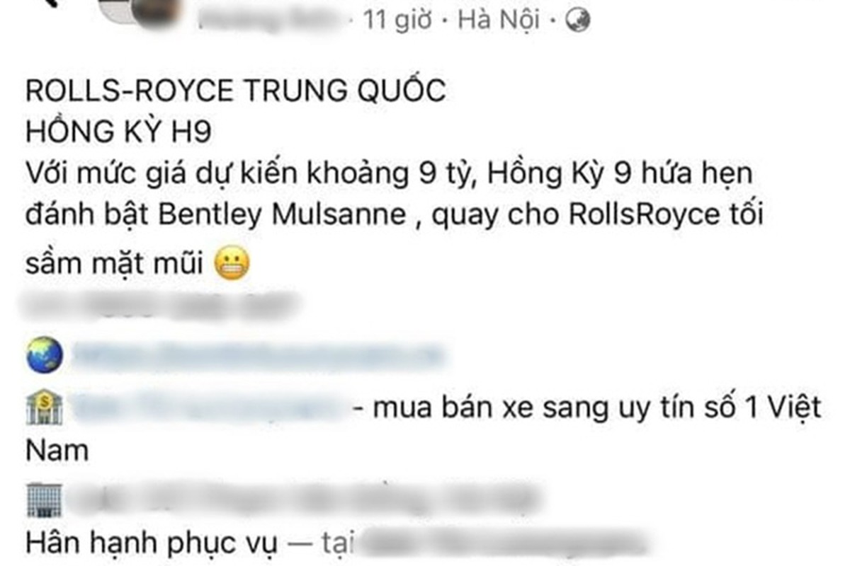 Hongqi H9 cua Trung Quoc dau tien ve Viet Nam, hon 9 ty dong?-Hinh-2