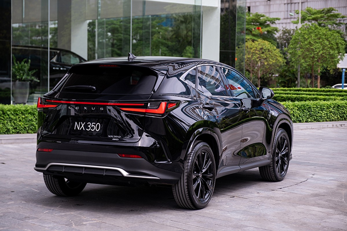 Can canh Lexus NX hoan toan moi hon 3 ty dong tai Viet Nam-Hinh-2