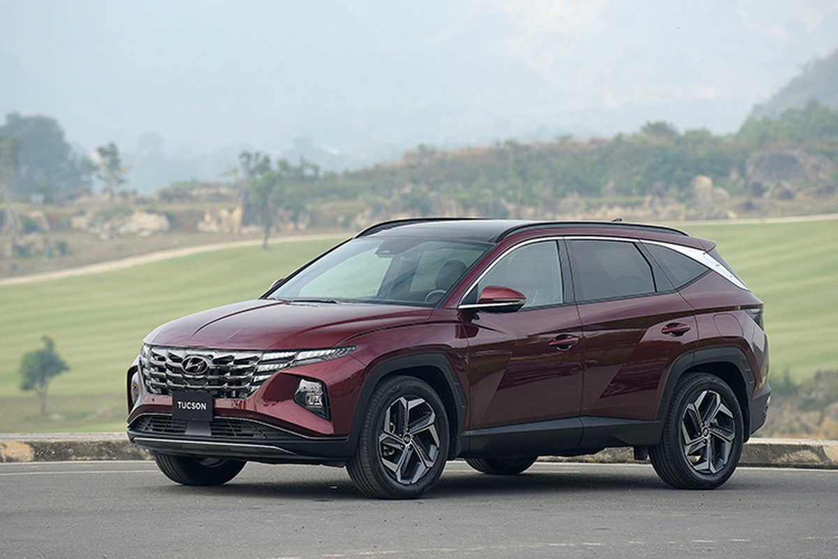 Hyundai SantaFe va Tucson tai Viet Nam tang gia, cao nhat 90 trieu dong-Hinh-4