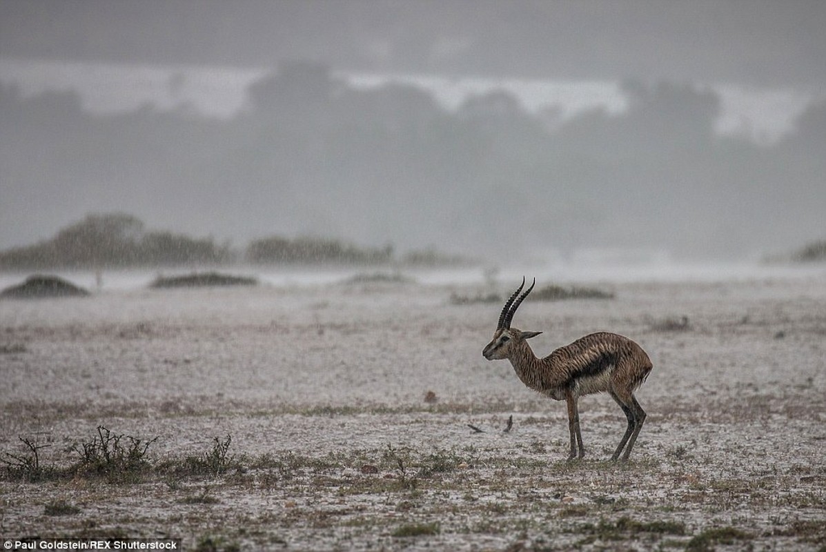 Su tu khon kho vi lu lut o Kenya-Hinh-9