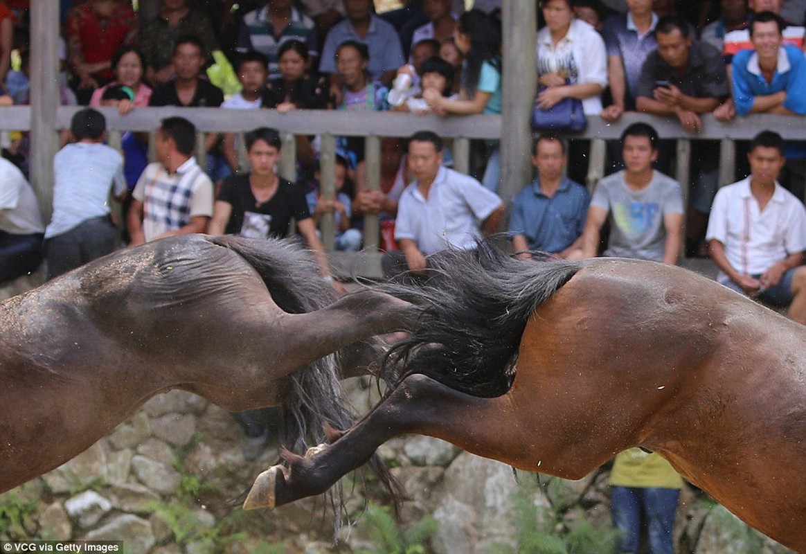 Lai them canh choi ngua tan khoc khien nguoi xem suy ngam-Hinh-3