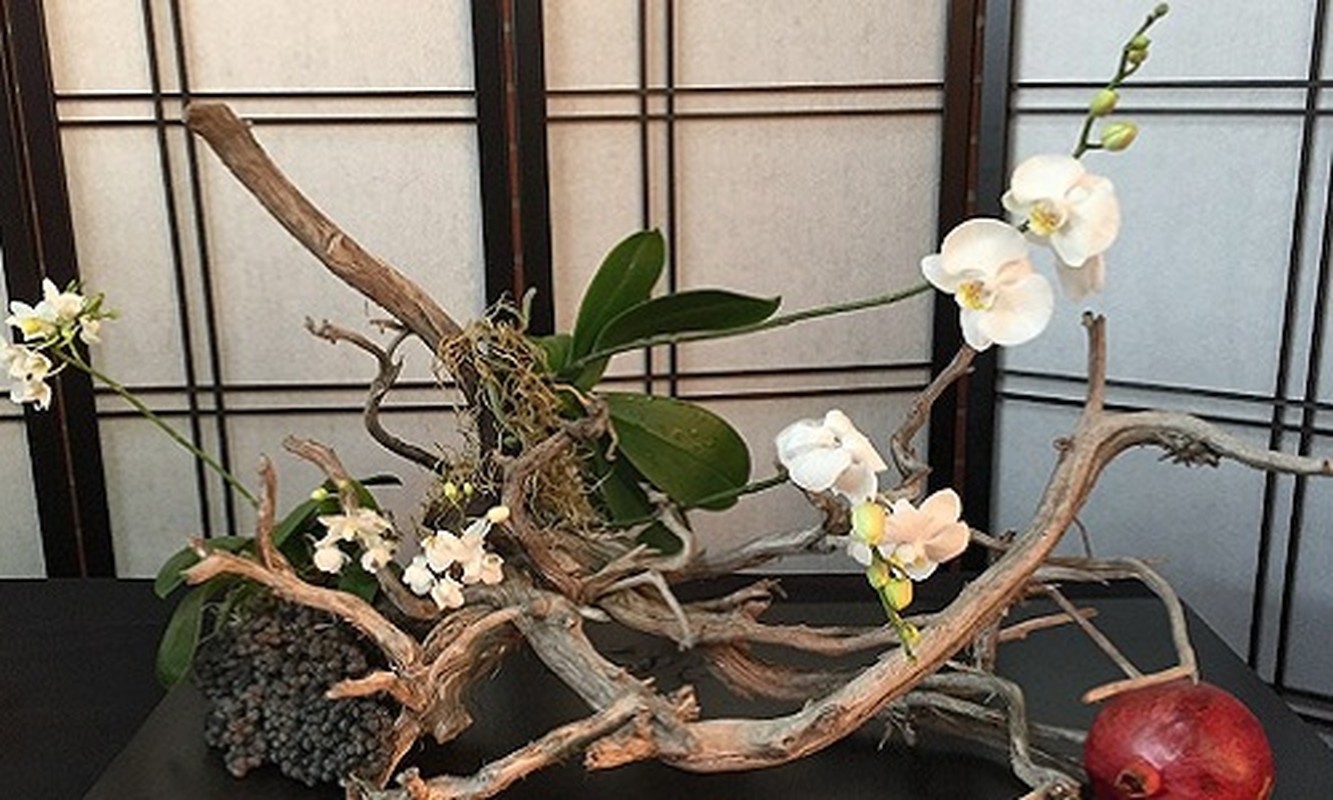 Man nhan loat bonsai phong lan dep hut mat-Hinh-6