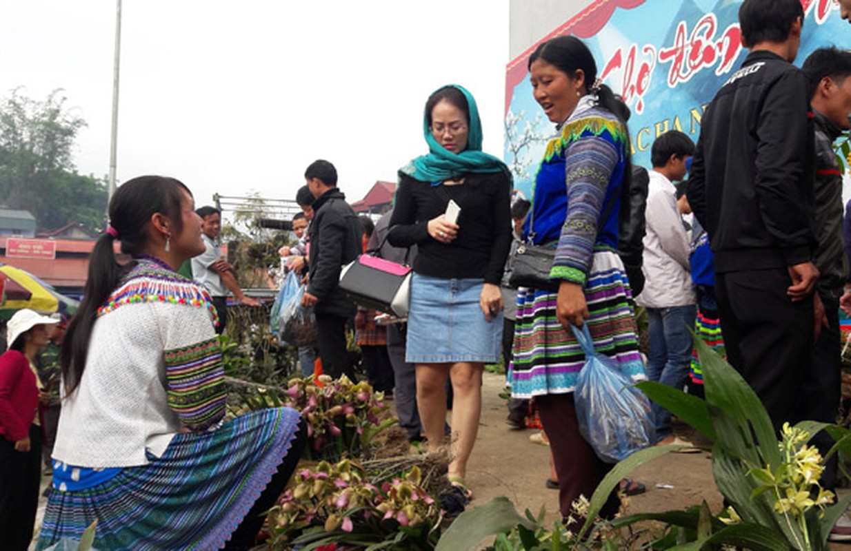 Ngam khu ban hoa lan doc dao o cho phien Bac Ha-Hinh-9