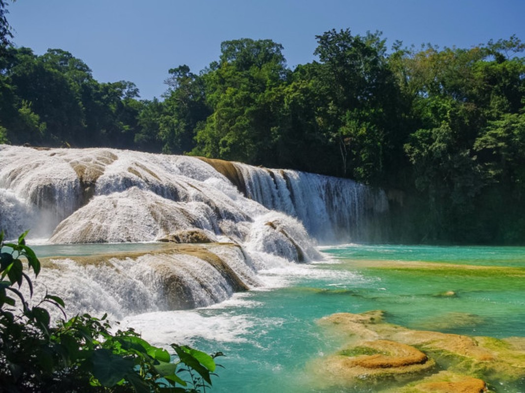 Hinh anh khien ban muon lao den Mexico “ngay va luon”-Hinh-12