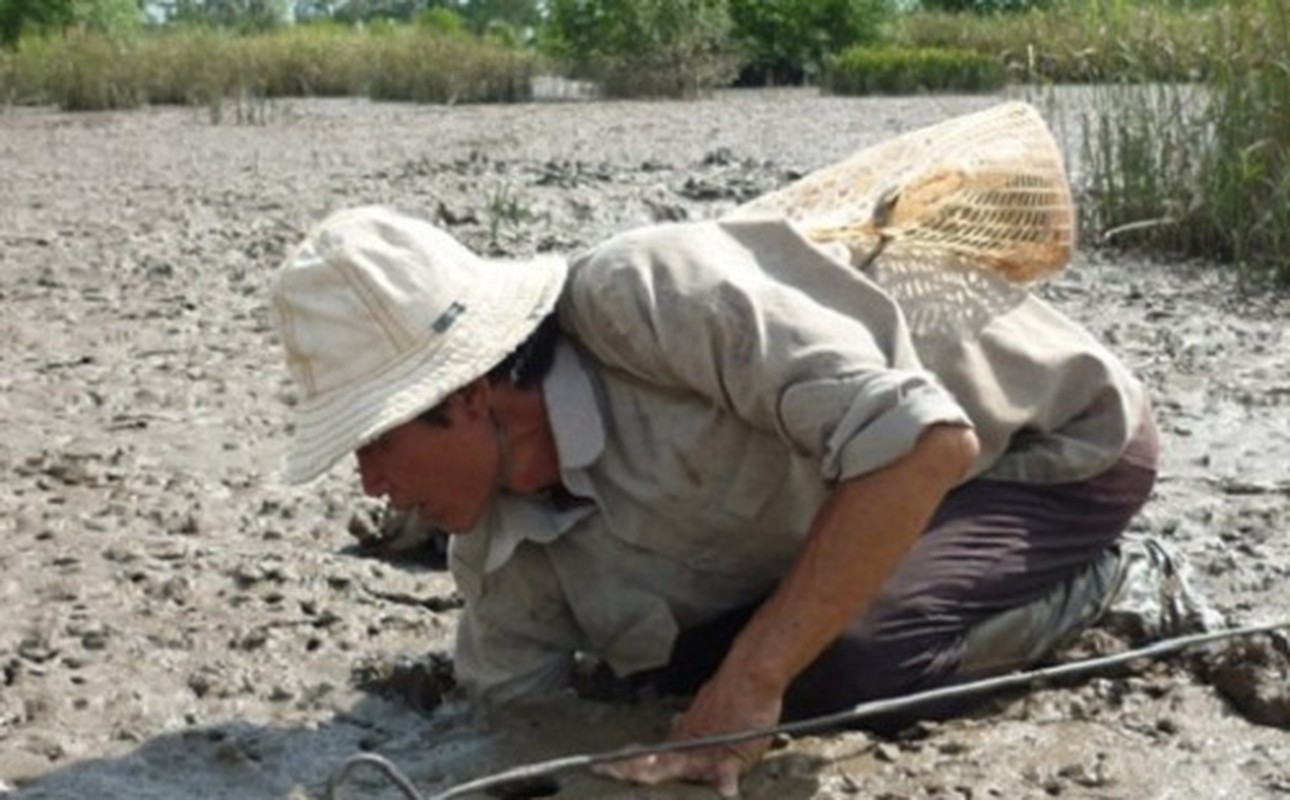 Nhoc nhan nghe bat cua dong giua troi nang-Hinh-10