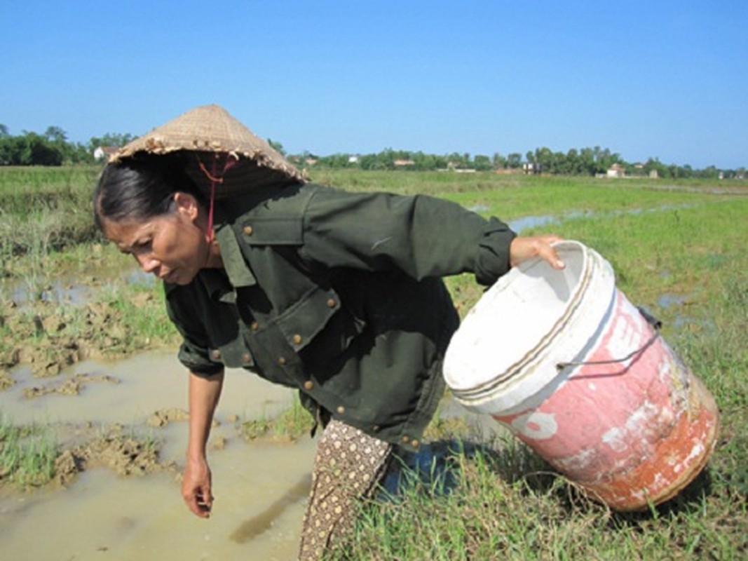 Nhoc nhan nghe bat cua dong giua troi nang-Hinh-12