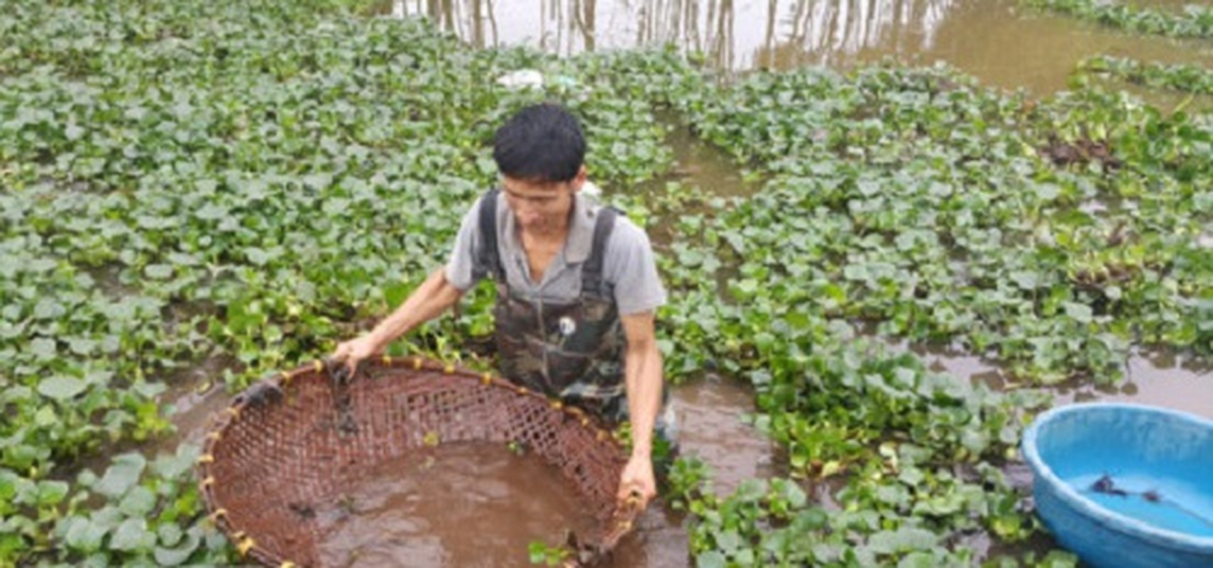 Nhoc nhan nghe bat cua dong giua troi nang-Hinh-2