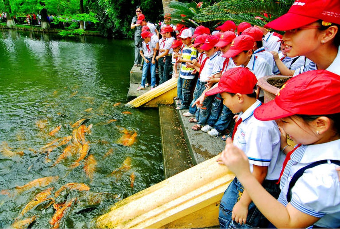 Ngoi nha san binh di trong Phu Chu tich tai Ha Noi-Hinh-10