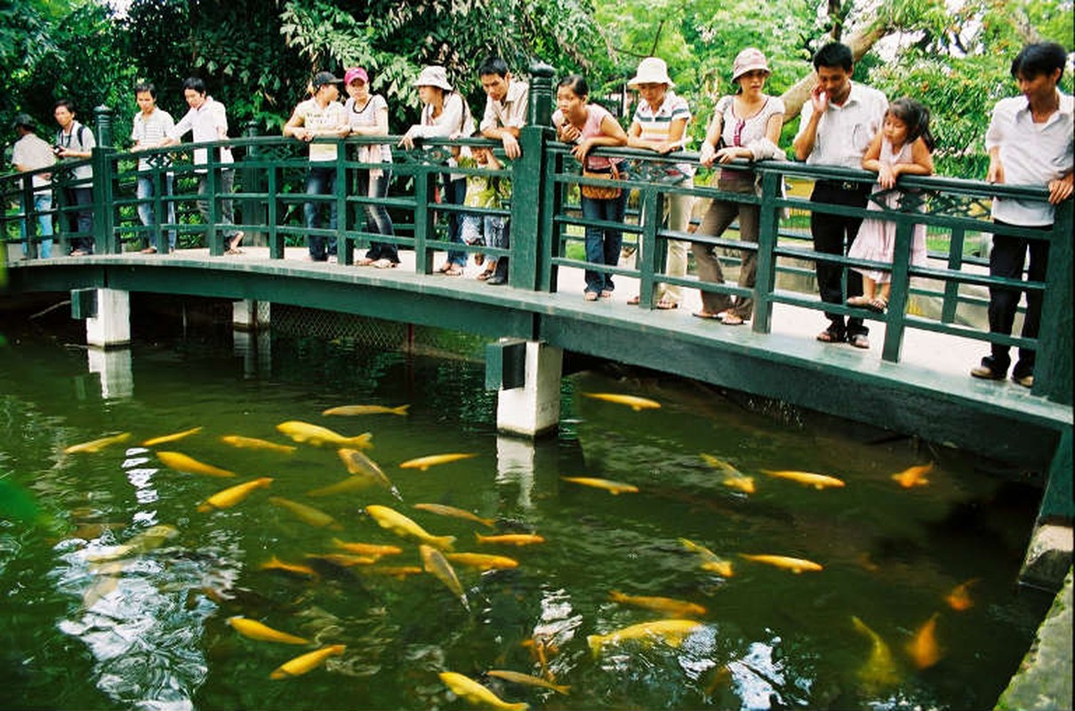 Ngoi nha san binh di trong Phu Chu tich tai Ha Noi-Hinh-8