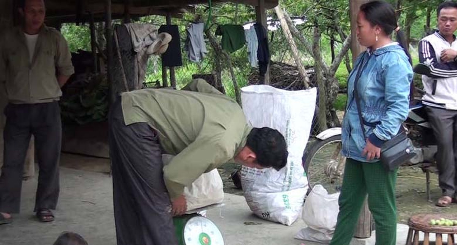 La lung thuong lai Trung Quoc rao riet mua trai cay non-Hinh-9