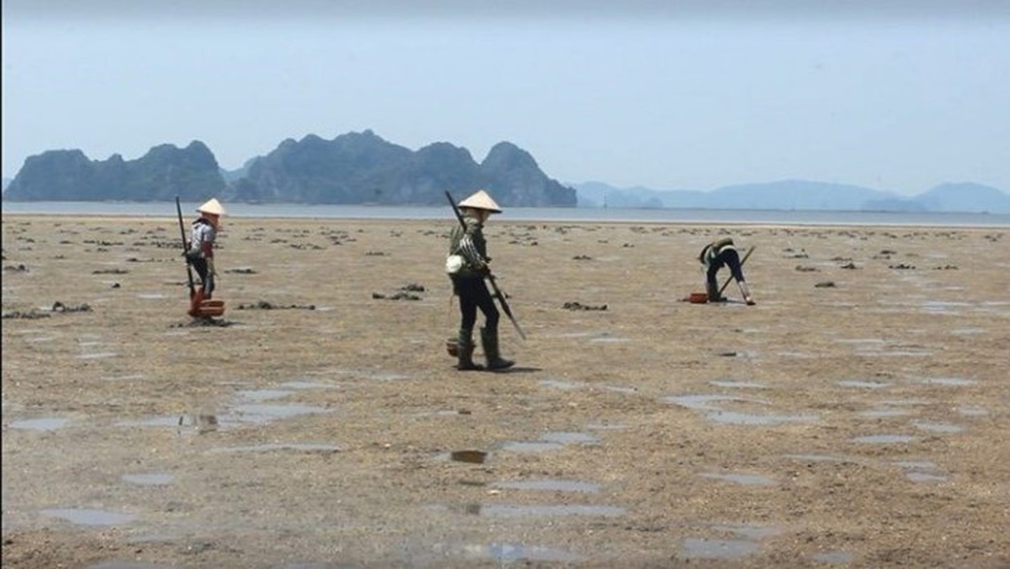 Hanh trinh san &quot;than duoc&quot; phuc vu quy ong nha giau-Hinh-7