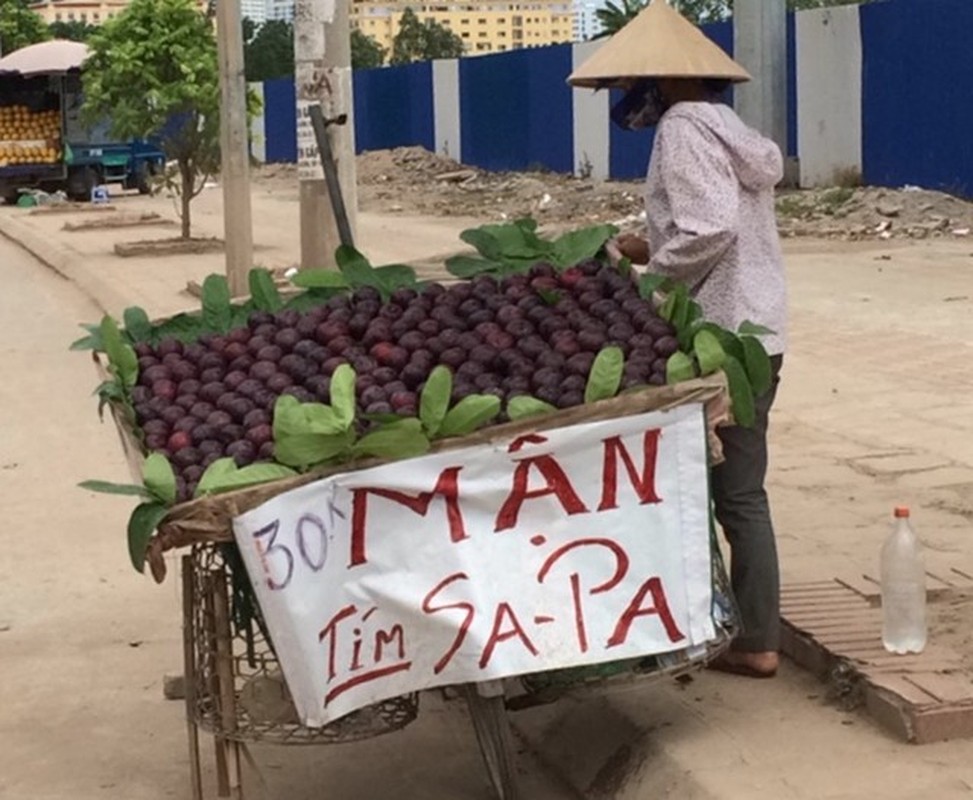 Cach nhan biet nhung loai man Trung Quoc &quot;gan mac&quot; man Viet Nam-Hinh-4