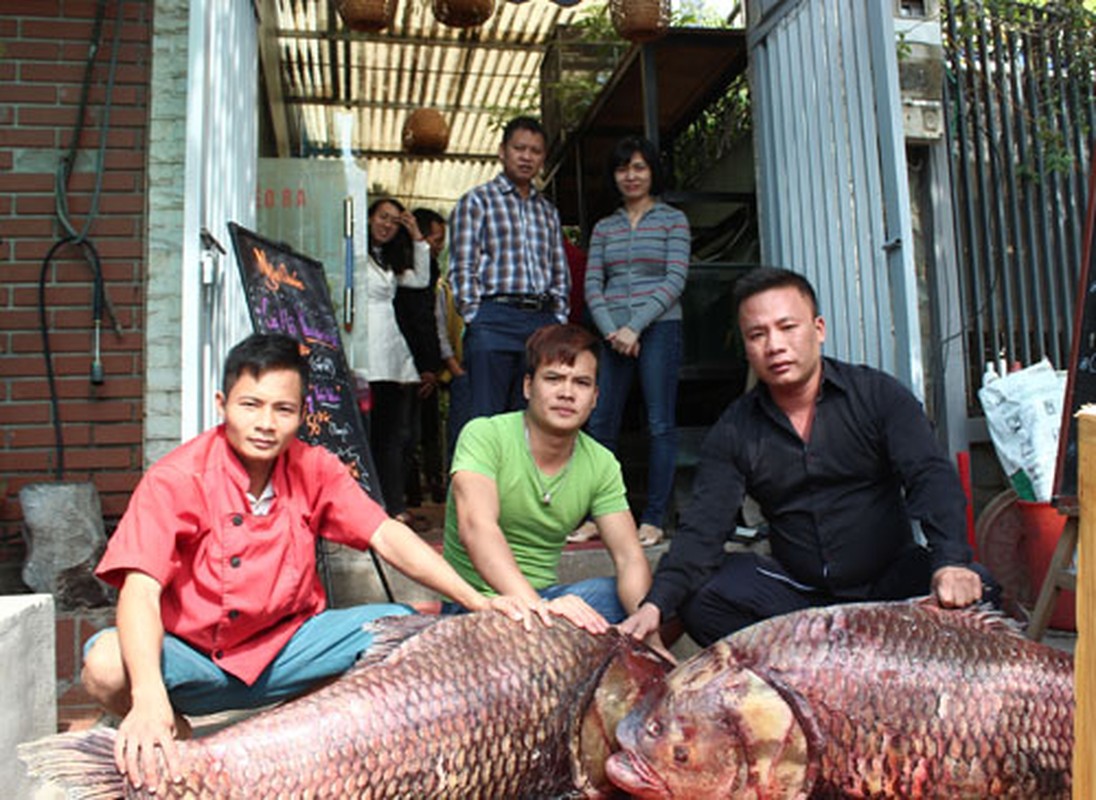 Nhung cap thuy quai tram trieu hut hon nha giau Viet-Hinh-4