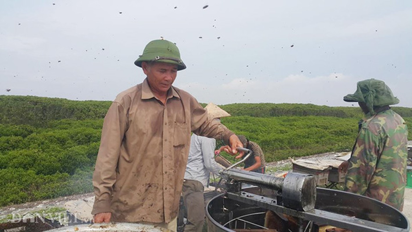 Ru nhau di kiem tram trieu voi “mat cua bien&quot;-Hinh-9