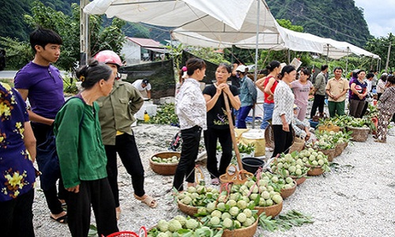 Lang Son: Nhon nhip cho na lon nhat nuoc vao mua