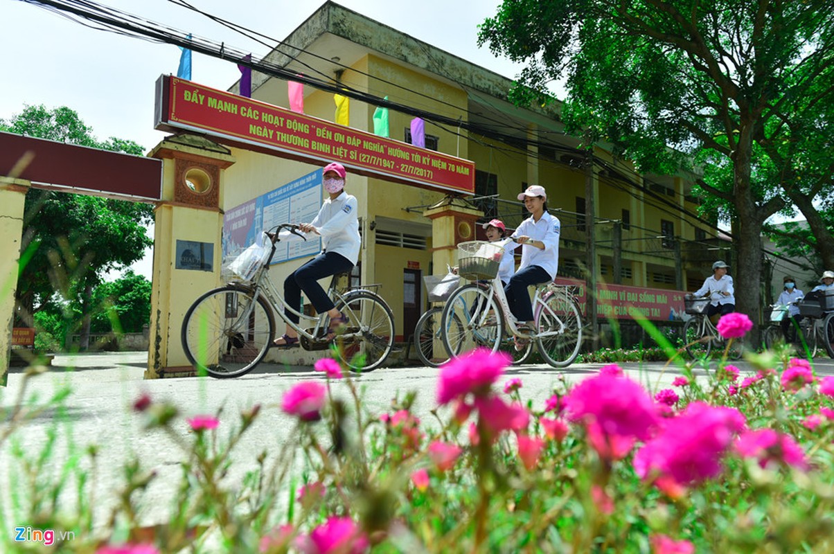 Duong hoa muoi gio dep nhu mo giua Ha Noi-Hinh-3