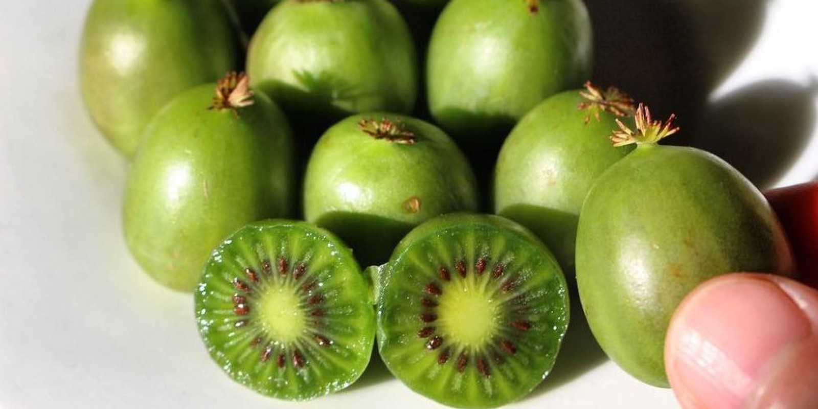 Kiwi ti hon gia chat 1 trieu dong/kg khien chi em &quot;phat cuong&quot;-Hinh-5