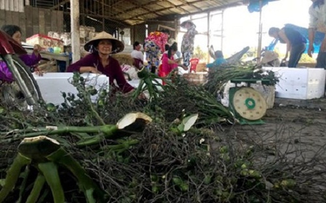 Nhung lan gom mua cau non ky la cua thuong lai Trung Quoc-Hinh-3