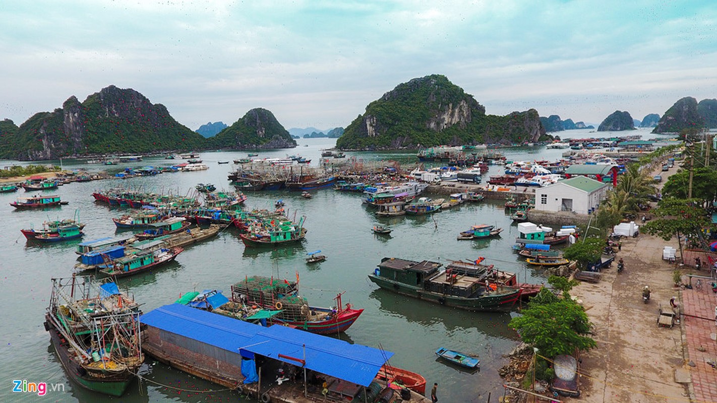 Cang Cai Rong truoc ngay Van Don thanh dac khu kinh te-Hinh-3