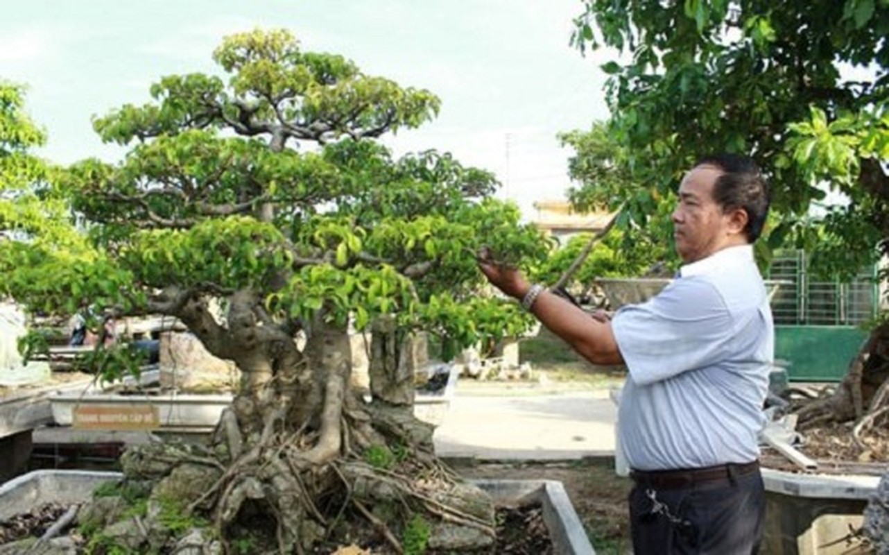 Man nhan vuon cay canh sieu khung cua dai gia tinh le-Hinh-11