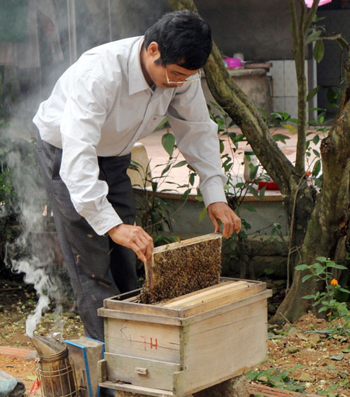 Mua mat ong thang 3 “hai ra tien” o Bac Giang-Hinh-4