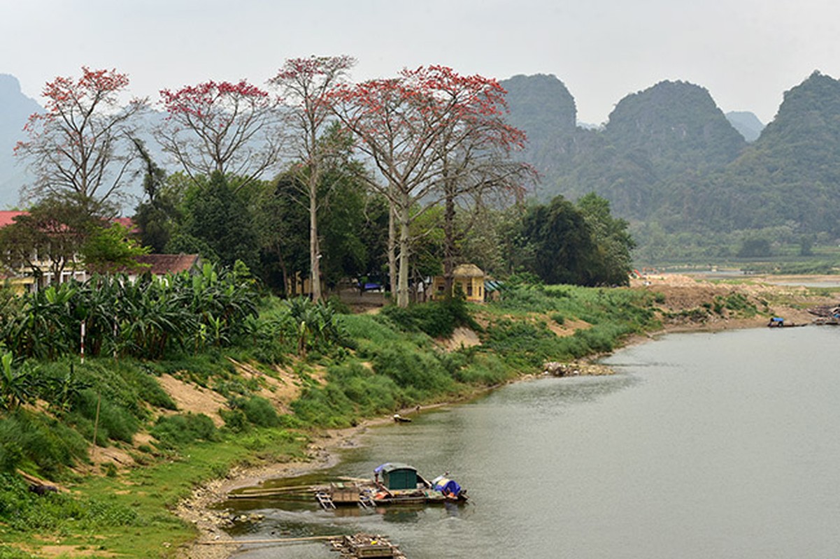 Anh: Xao xuyen mua hoa gao no do ruc cac mien que