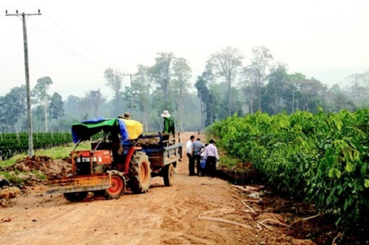 Bau Duc co nong truong gi gan dap thuy dien bi vo?-Hinh-6