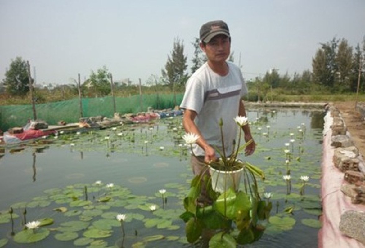 Kinh ngac nhung vuon hoa sung “hot” bac trieu-Hinh-8