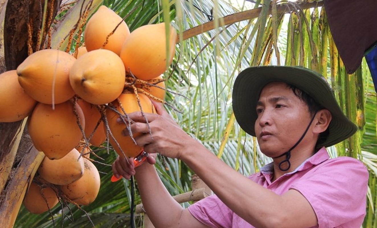 4 loai trai cay ngon, moi la cua nong dan Viet-Hinh-5