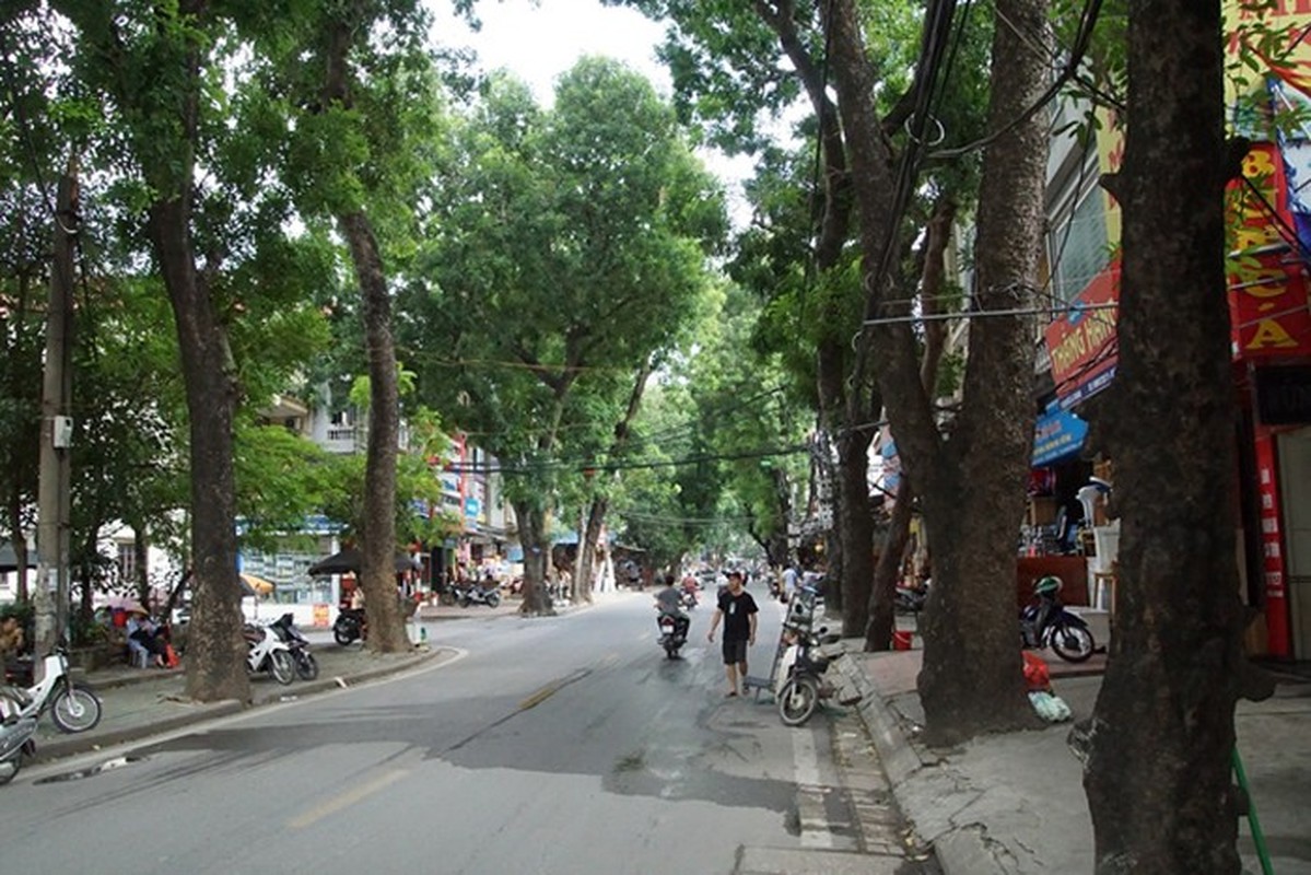 Chi tiet tuyen duong “dat nhat hanh tinh” vua duoc Ha Noi duyet-Hinh-6