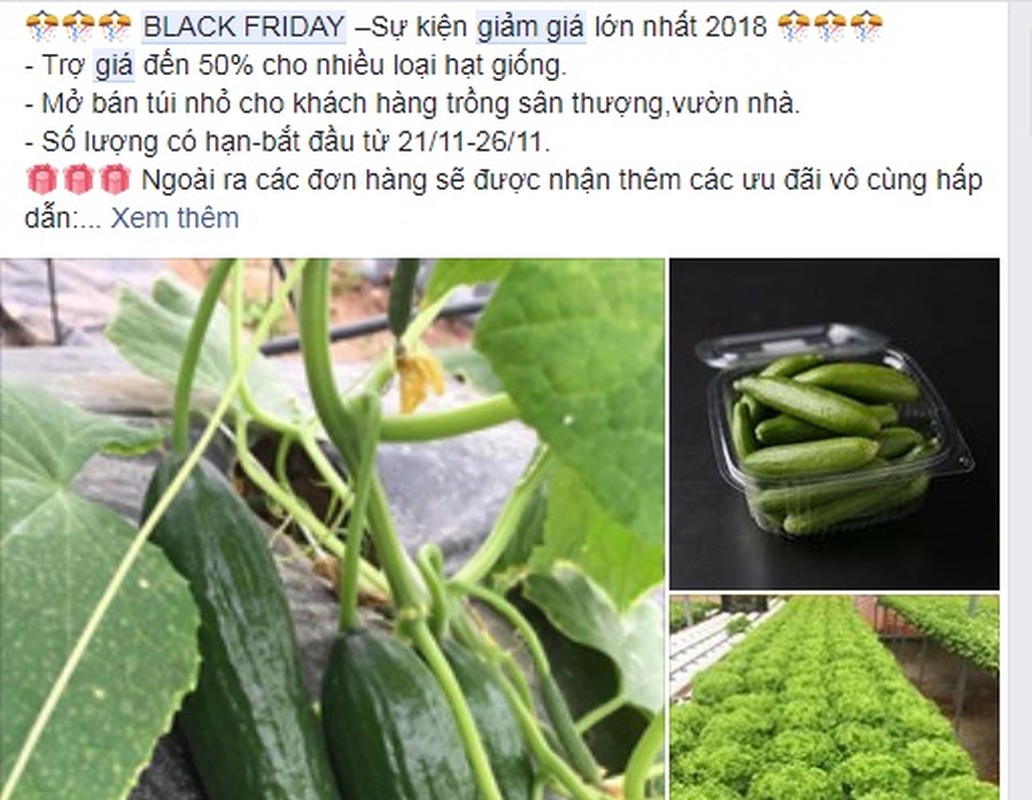 Doanh nghiep Viet tao “con loc” giam gia ngay Black Friday-Hinh-10