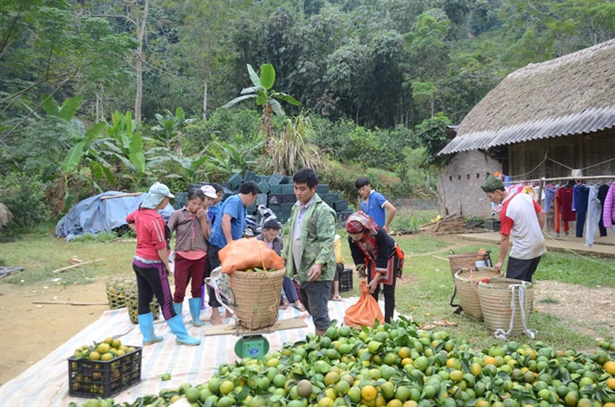 Nhung ngoi lang trong cam giau co o Viet Nam-Hinh-7