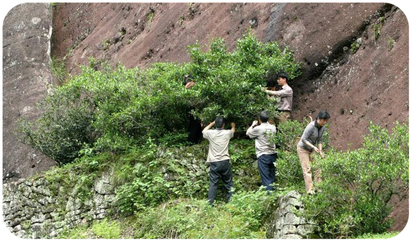 Giat minh gia tra thuong hang chi danh cho gioi thuong luu-Hinh-4