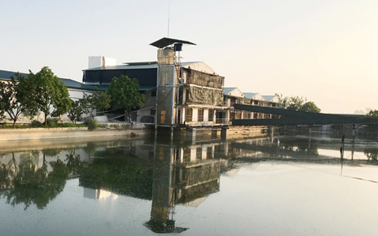 Da mat ngam trang trai lon xa xi, cao tang doc nhat giua Ha Noi-Hinh-8